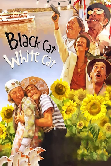 Schwarze-Katze-weisser-Kater.jpg