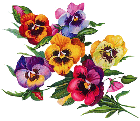 [Image: g8fcdum4.gif]