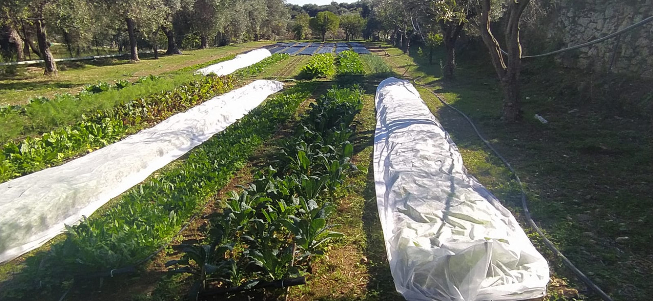 WhatsApp Image 2020-11-02 at 12.48.43 (2)