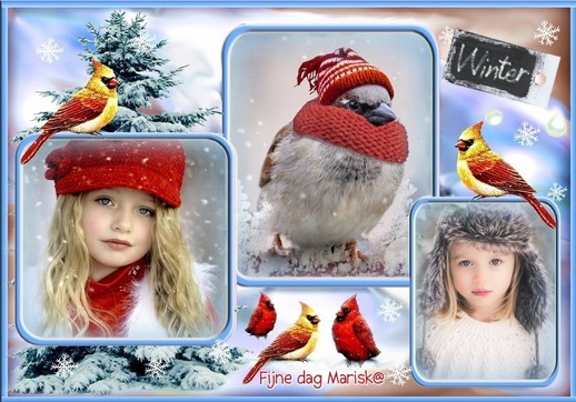 An den Beitrag angehängtes Bild: https://i.postimg.cc/KYj3cHY9/winter.jpg