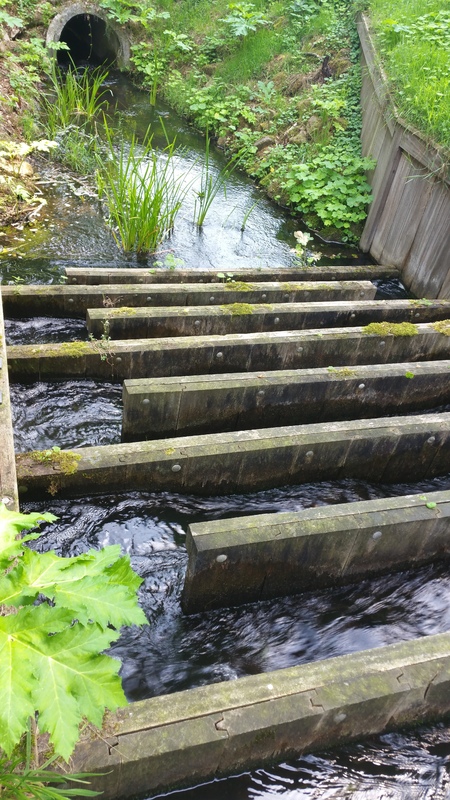 0260 OV (03899) Den Haller - Diepenheim 17