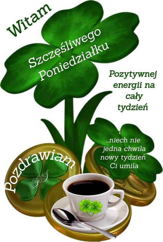 https://i.postimg.cc/KYjNNrDd/b9f4de52f1e6262fb387415b19cd535a.jpg