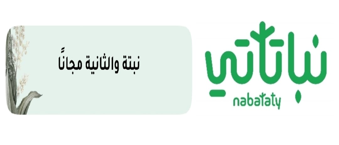 نباتاتي Nabataty