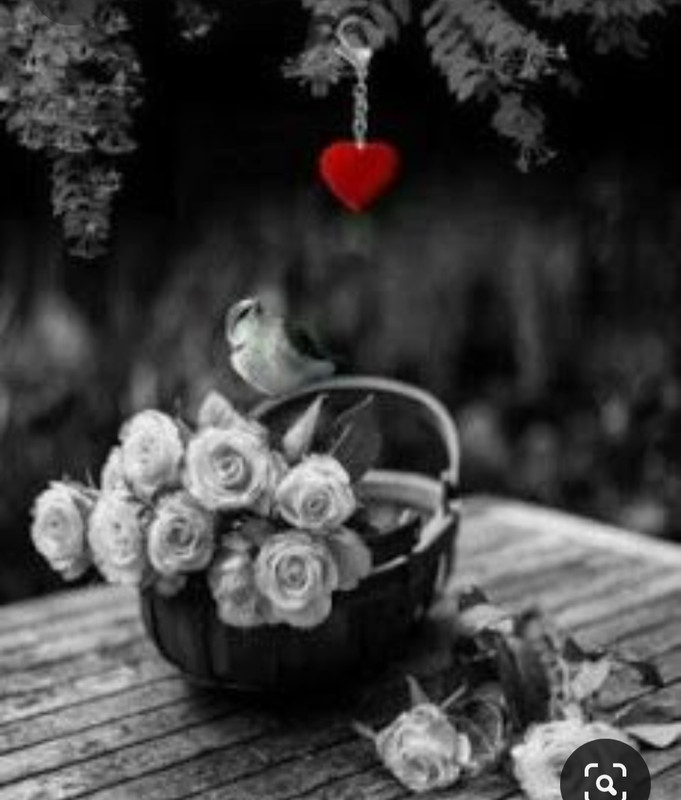 Screenshot_20230401_234954_Pinterest