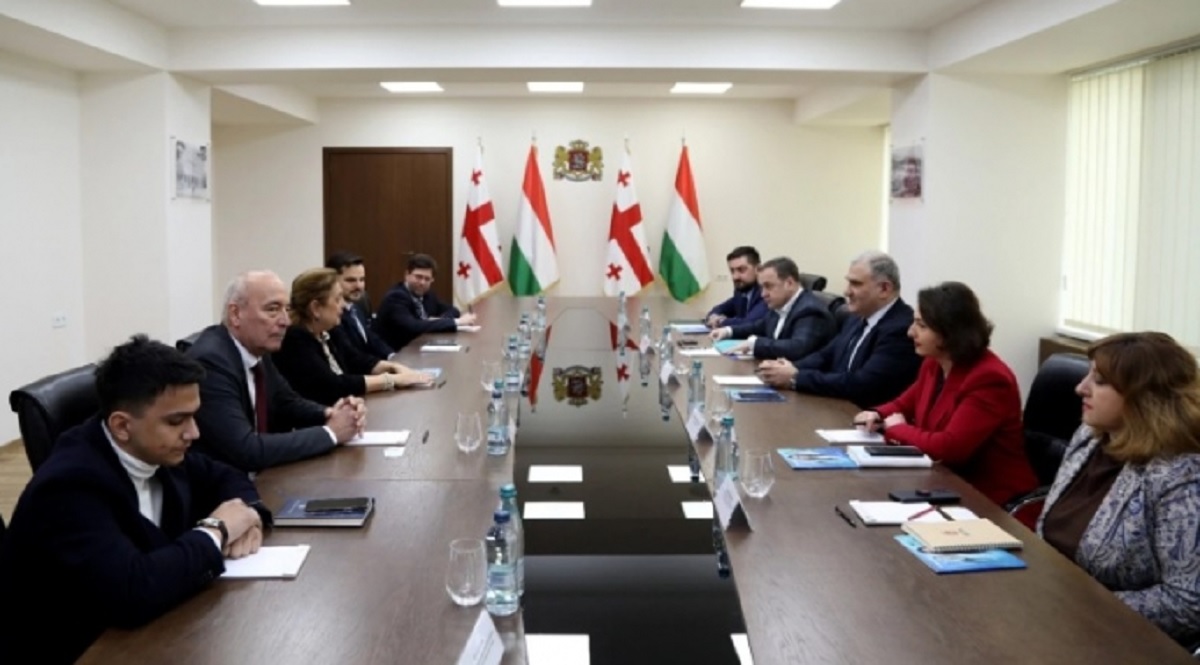 მიხეილ სარჯველაძე უნგრეთის ელჩს შეხვდა