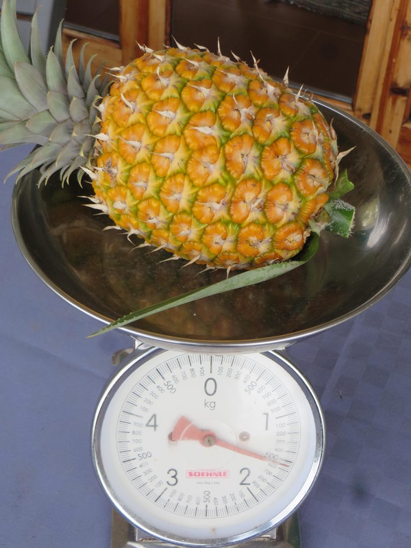 ananas.png