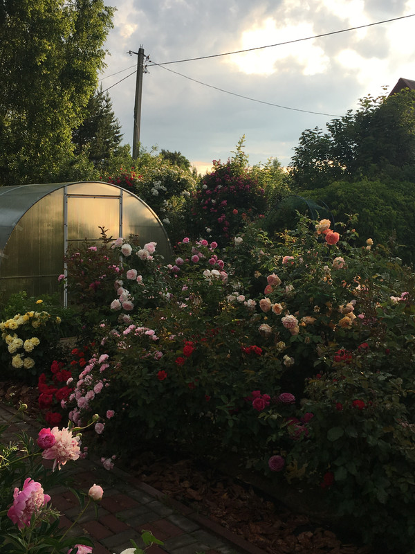 3550DDE3-A907-4B3A-8A25-4111A1401129