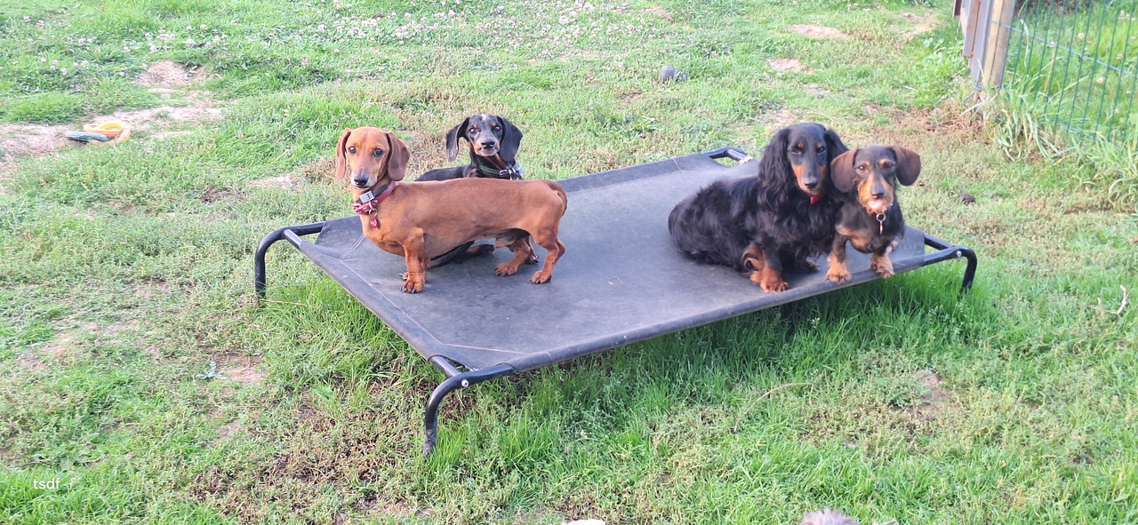 [Image: 20250919-191340.jpg]