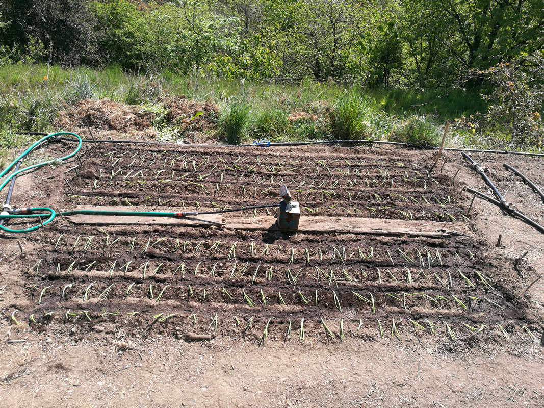 IMG_20210424_120721[1]