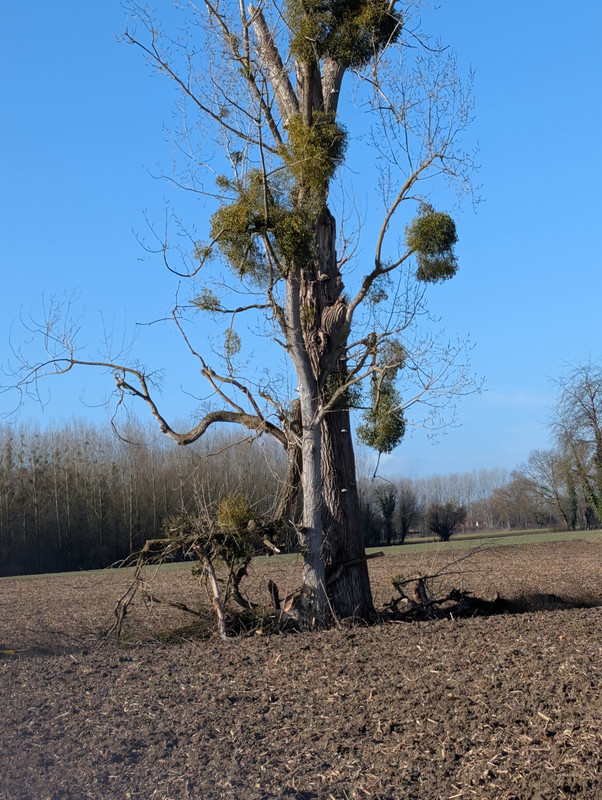 PXL 20260207 101128519