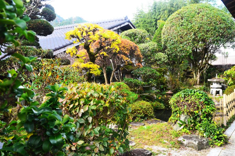 Tsumago-Juku-16-11-2024 - Japón y sus Pueblos-2024 (71)