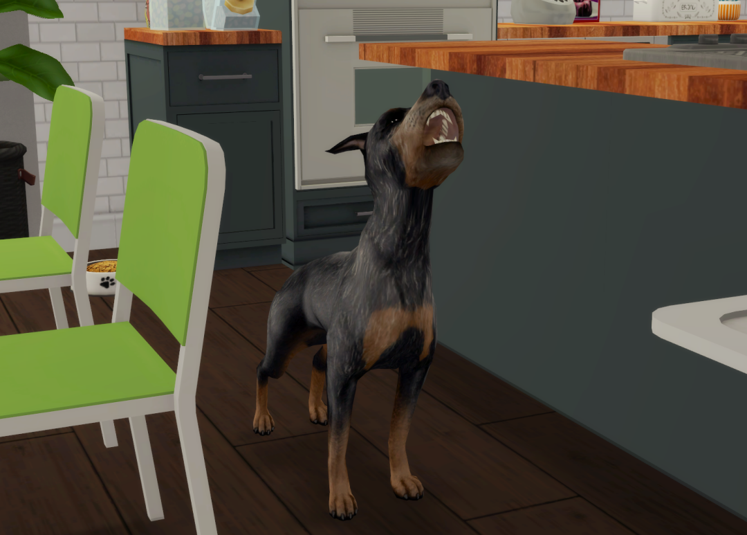 Sims2-EP9-RPC-2024-03-17-14-12-19-48