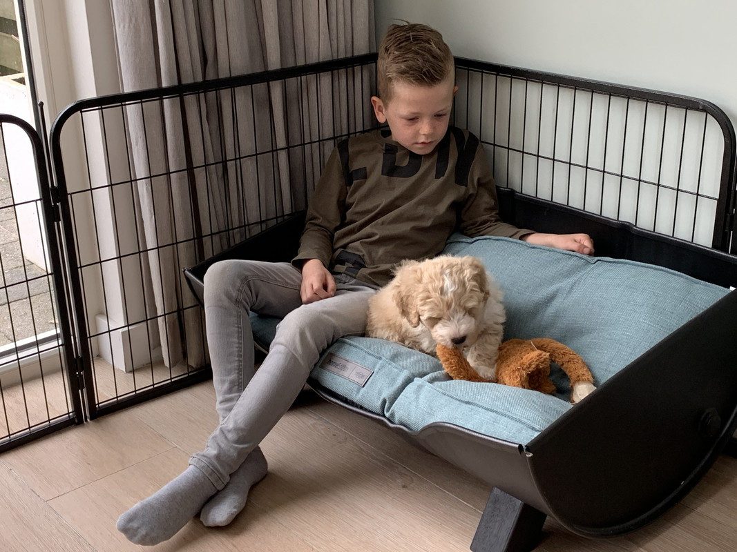 9AC44C53-CFBB-49F6-BD16-D9F25EA44566