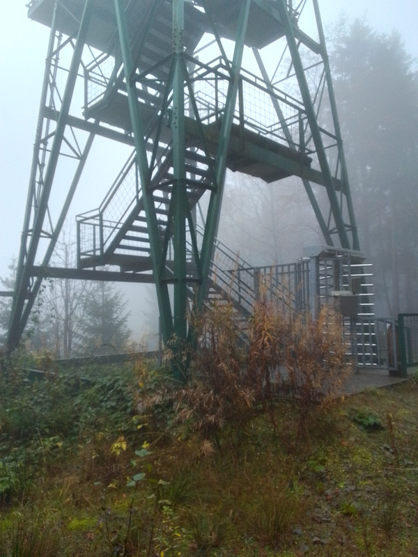 IMG_20241024_104227_880