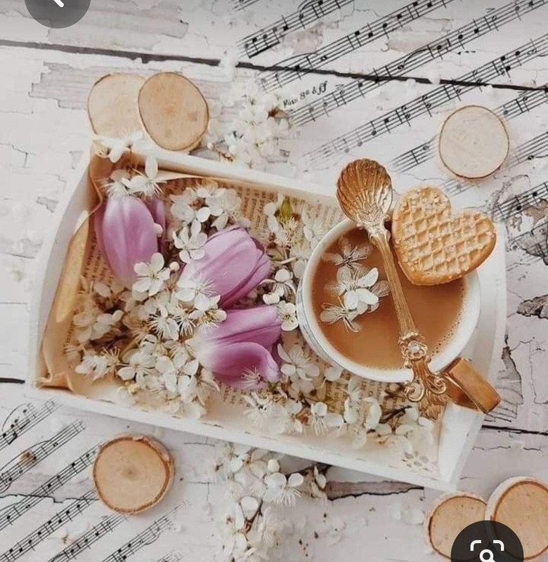 Screenshot_20230426_215500_Pinterest