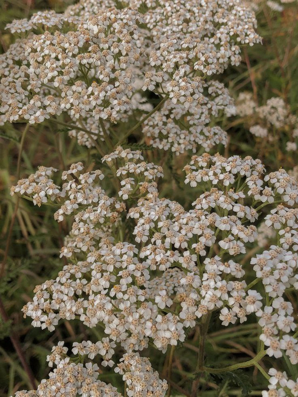 [Изображение: photo-2025-12-19-16-46-04.jpg]