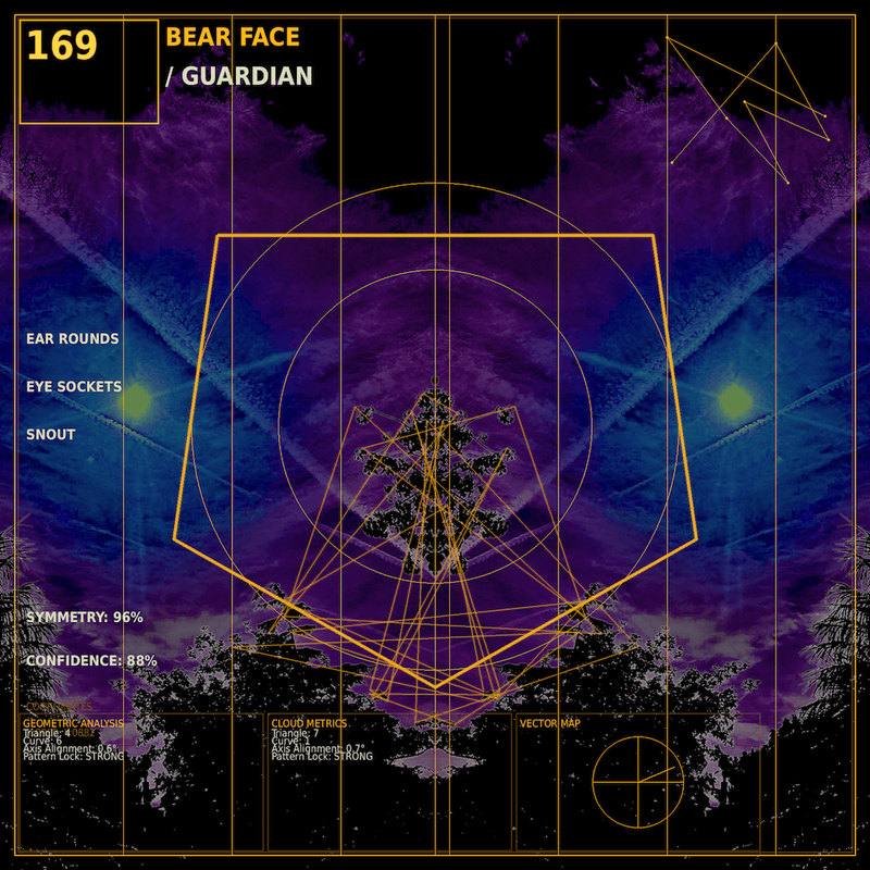 Bear face