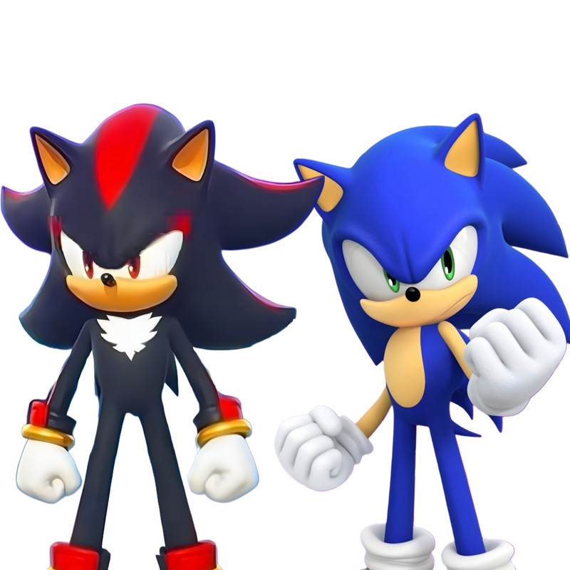 Sonic & Shadow