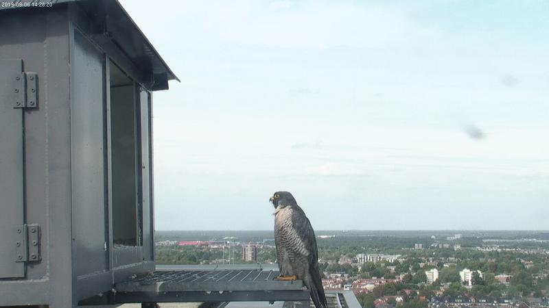 68431CFE-D812-4F49-B938-6340B481B6A0