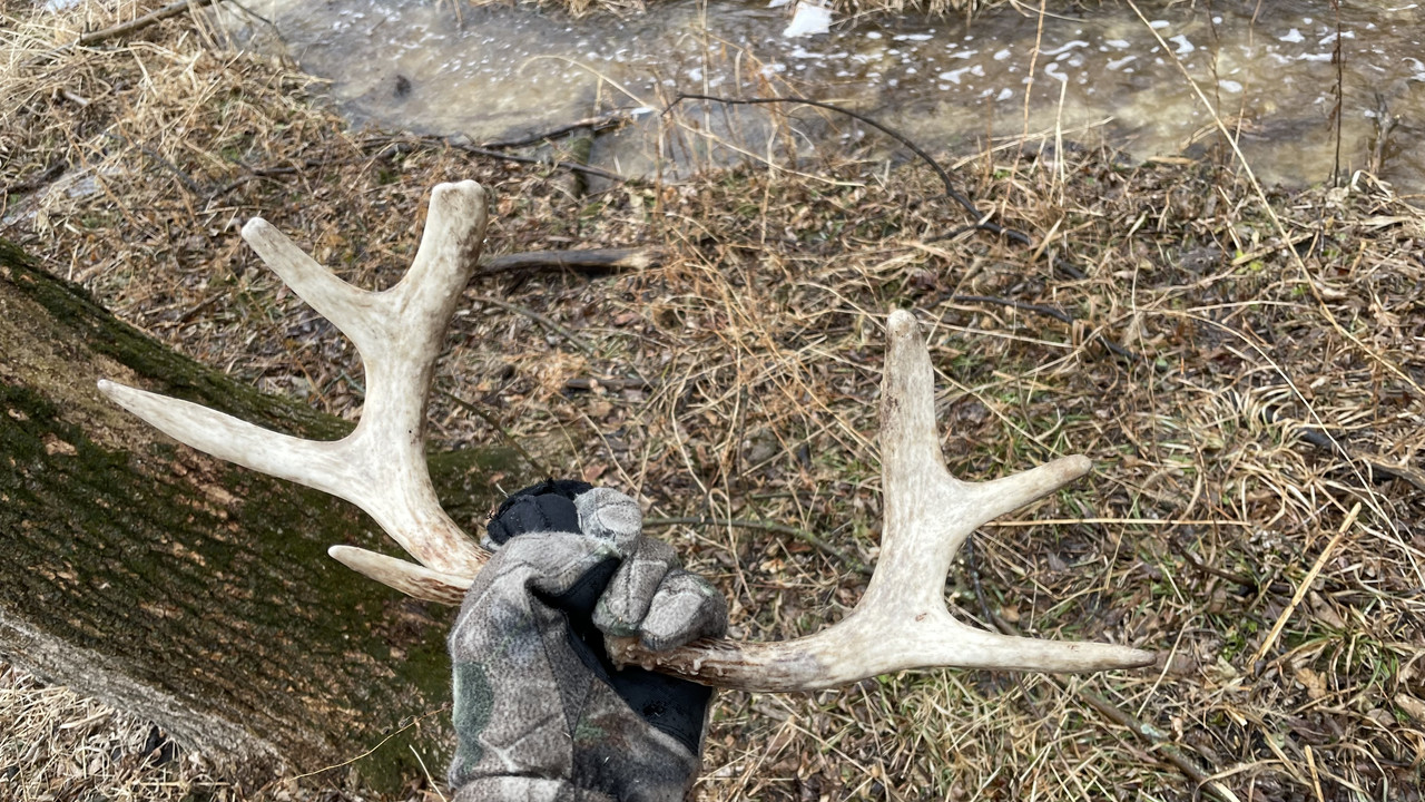 044EB412-ADFA-45CB-A31C-275792B65491