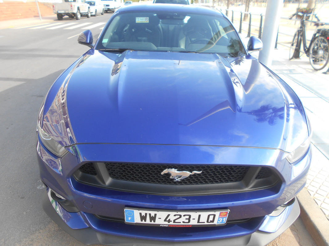 DSCN2398.jpg