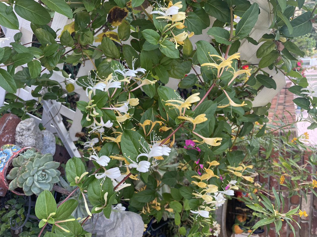 D4131968-AAF2-4DAB-8F7B-230803385F41