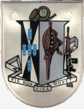CCac617