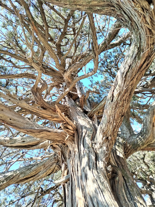 IMG_20240224_135119_edit_83480542010758