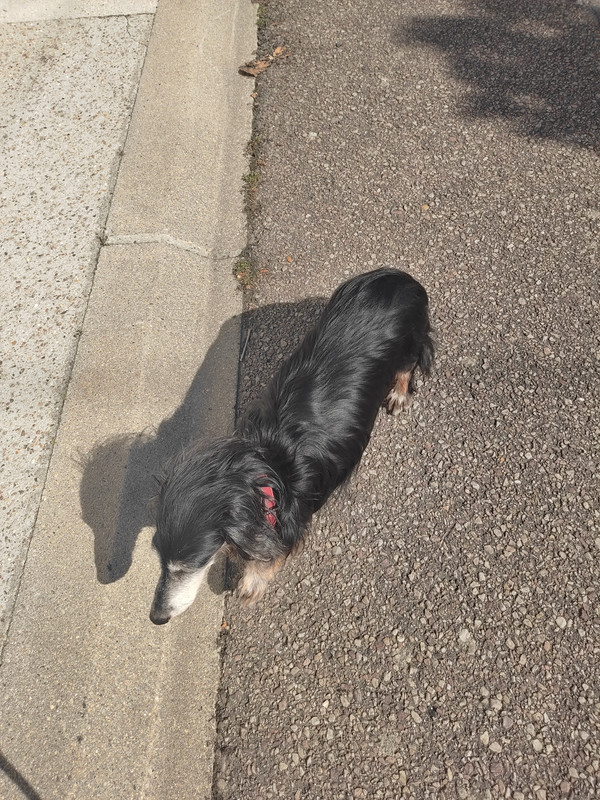 [Image: IMG-20250528-172441.jpg]