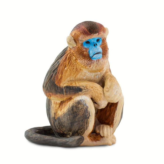 safari ltd 2019