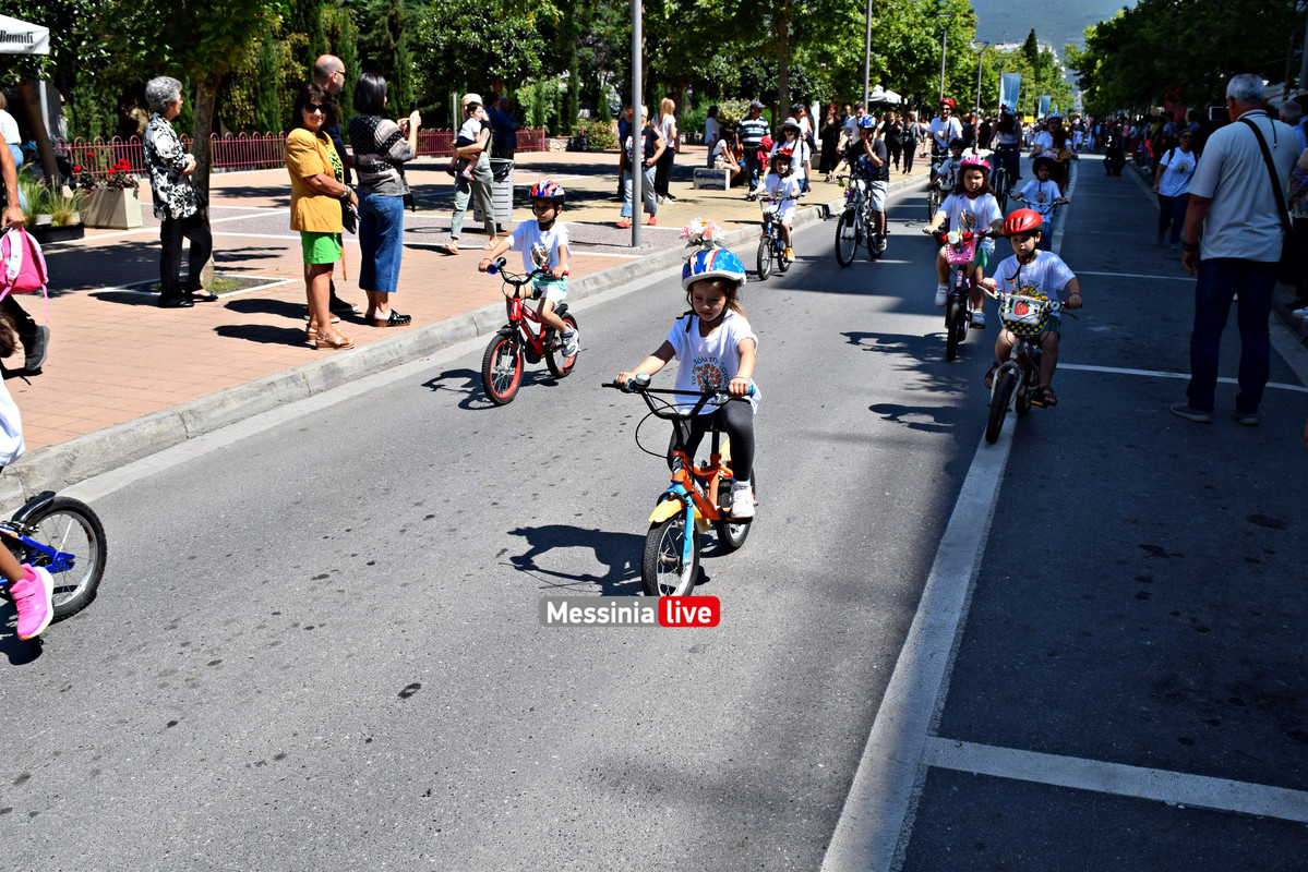 ΛΟΥΛΟΥΔΕΝΙΑ ΠΑΡΕΛΑΣΗ DSC_1442