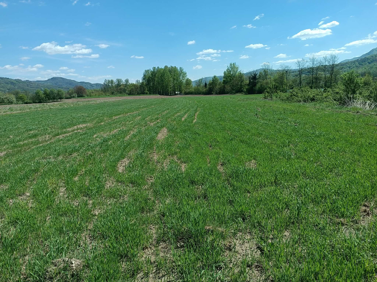 ZOB-24-APRIL.jpg