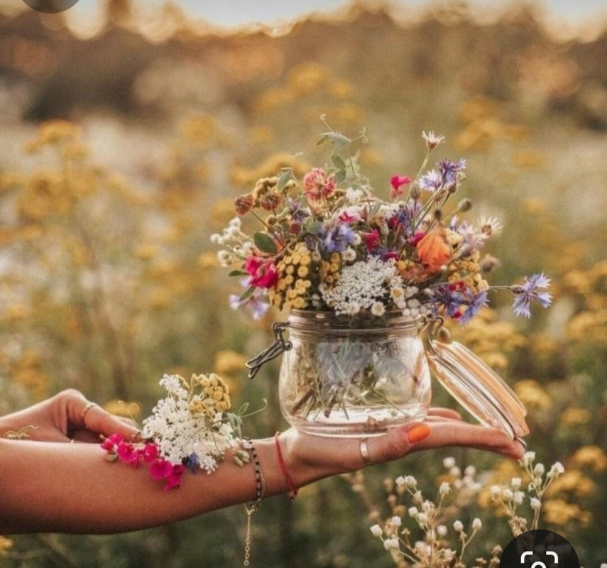 Screenshot_20240404_204324_Pinterest