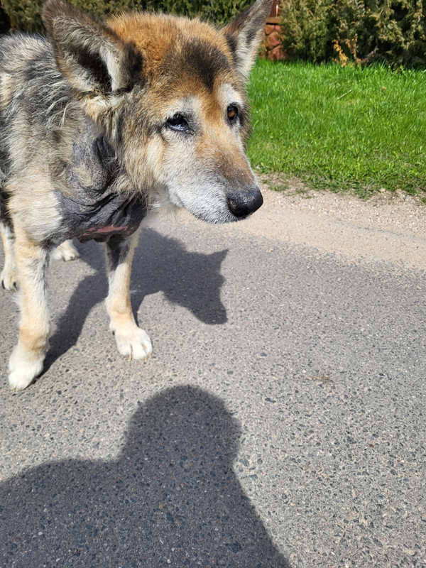 74A7D372-8937-422F-B1F9-9A293B2A0EF2