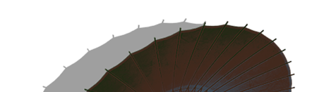 1(graphic)