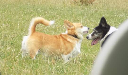 [Image: 73158-AE0-9-ACC-4-E23-8719-06757-A71-A7-D1.jpg]