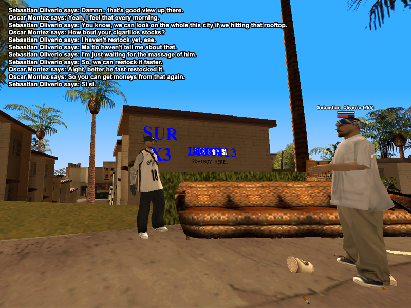 ss131.png
