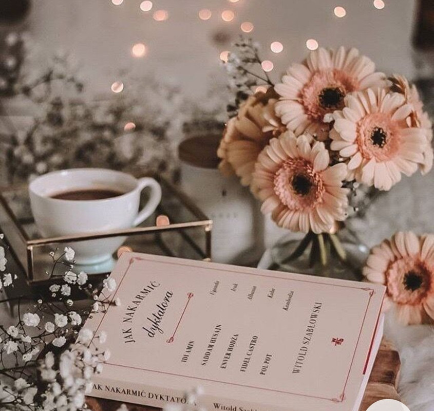 Screenshot_20221203-232024_Chrome