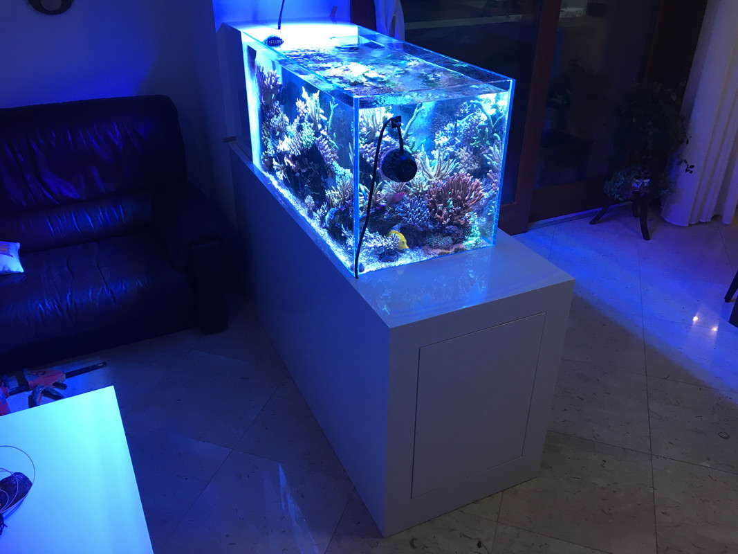 D5ACDE75-EFC7-4074-8323-D5A47B8E2895