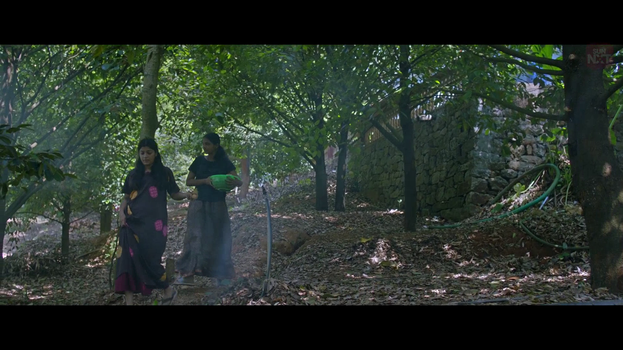 vlcsnap 2026 02 11 15h43m41s018