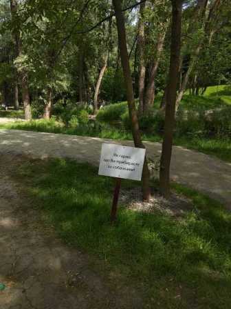 viber-2020-06-17-16-40-24