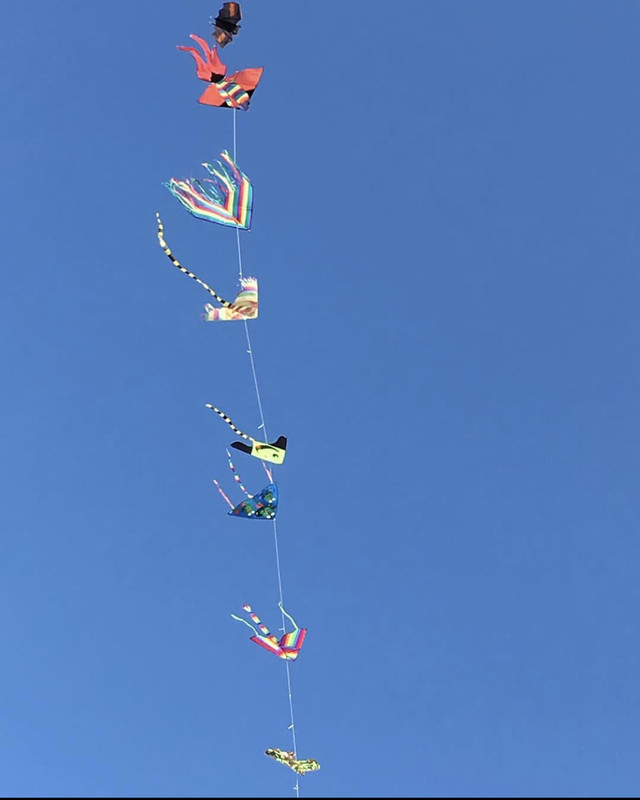 163FB0D7-A23D-4231-B8A2-E63B4BD7EB4D