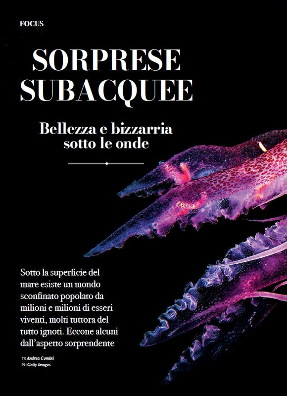 Argos Ago-Set 2023 (9)