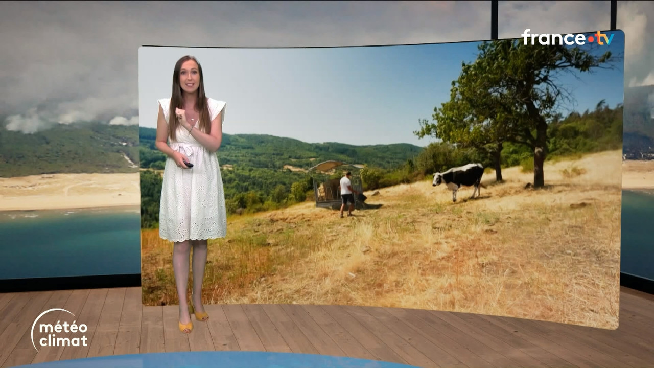 Journal Météo Climat (France 2) 2026 07 29 19 45 17 ts snapshot 08 01 703