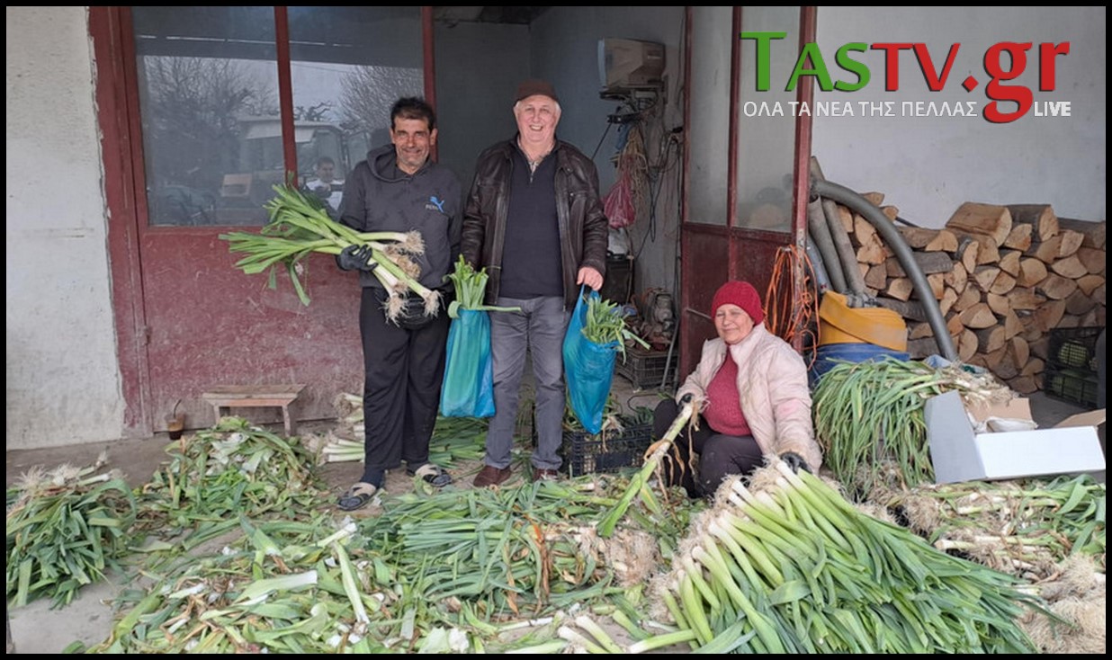 2025-02-17-151352-LGO