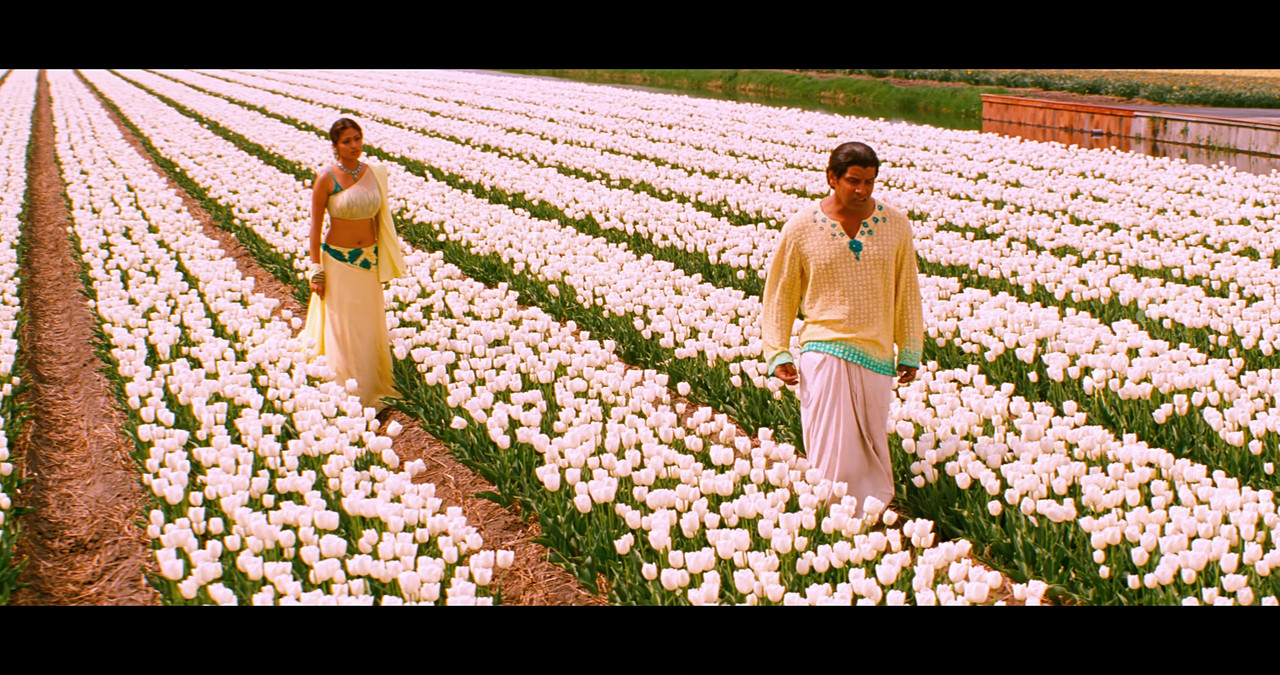 VideoCapture_20241122-195812