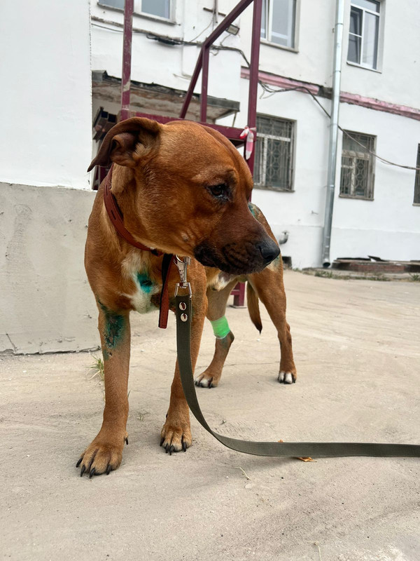 WhatsApp Image 2022-08-27 at 18.23.33 (2)