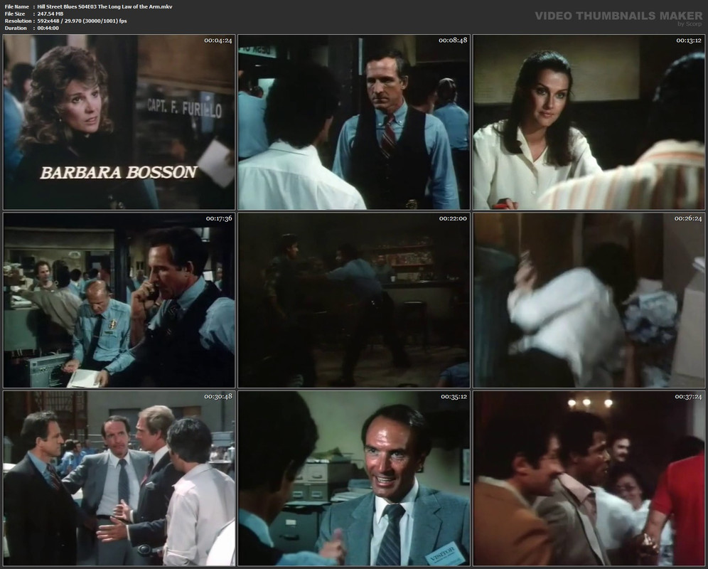Hill Street Blues S04E03 The Long Law of the Arm.mkv