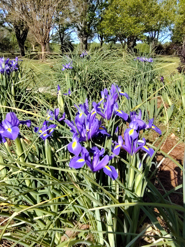 IMG_20250409_094421286_HDR