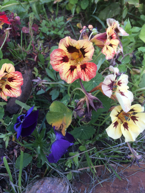 4417825B-DC4A-4FFA-892B-2DD70B8522CA